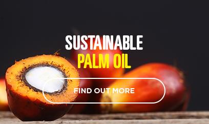 Sustainable Palm Oil nugget